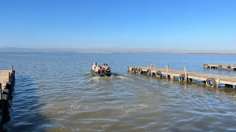 Trabajos de búsqueda de personas desaparecidas por la DANA en l'Albufera de València Trabajos de búsqueda de personas desaparecidas por la DANA en l'Albufera de València