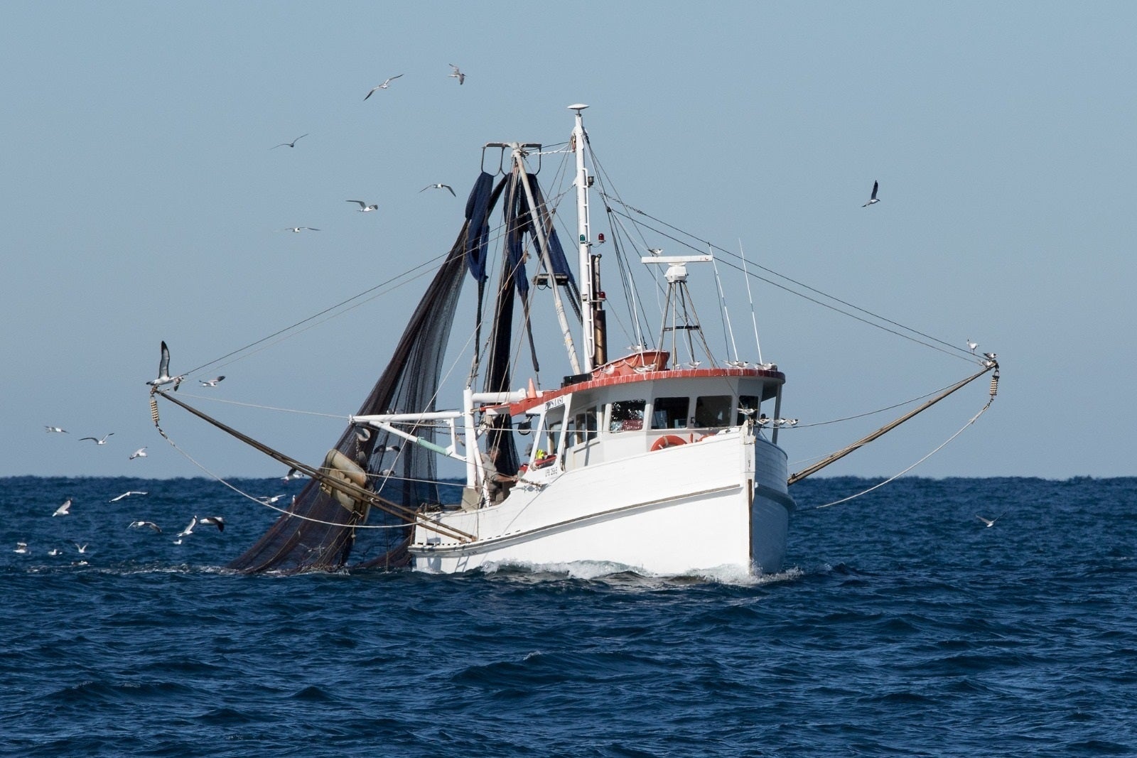 La UE logra un acuerdo sobre la pesca de 2025 en el Atlántico y el Mediterráneo La UE logra un acuerdo sobre la pesca de 2025 en el Atlántico y el Mediterráneo