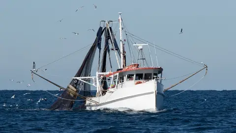 Barco pesquero faenando en el mar Barco pesquero faenando en el mar