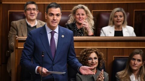 Pedro S&aacute;nchez en el Congreso de los Diputados