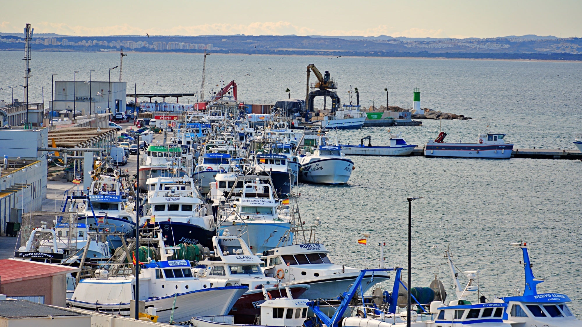 El BOE publica la Orden del Gobierno central que actualiza la regulación de la pesca de arrastre del Mediterráneo El BOE publica la Orden del Gobierno central que actualiza la regulación de la pesca de arrastre del Mediterráneo