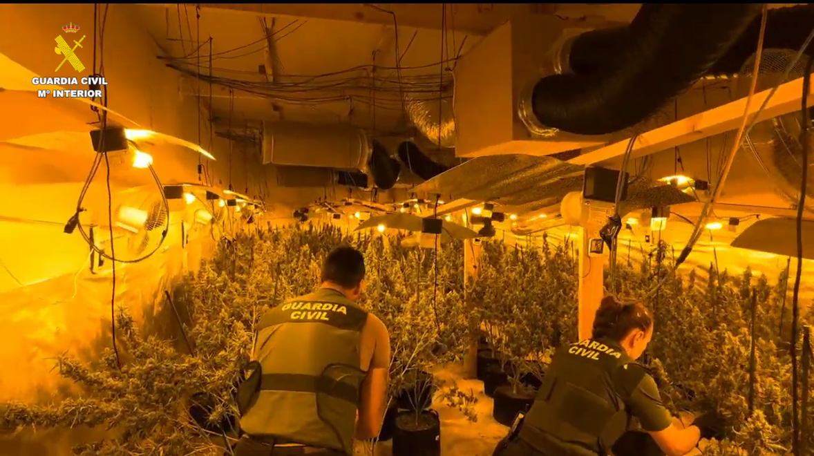 Cinco detenidos por laboratorios de cultivo de marihuana en Cabanes Cinco detenidos por laboratorios de cultivo de marihuana en Cabanes