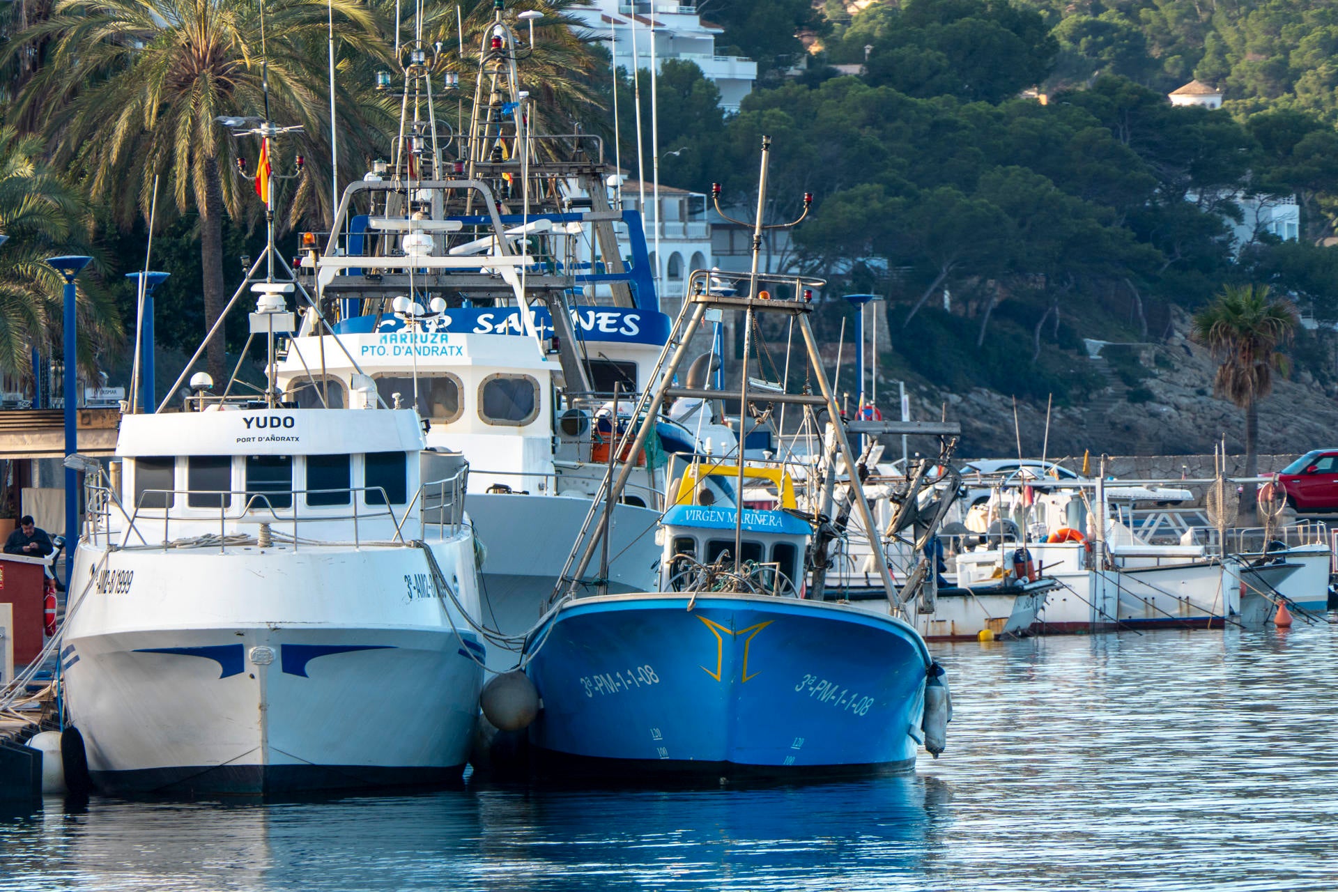 Gobierno y Consell discrepan sobre el acuerdo de pesca en la Unión Europea Gobierno y Consell discrepan sobre el acuerdo de pesca en la Unión Europea