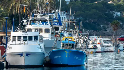 Gobierno y Consell discrepan sobre acuerdo de pesca en la Unión Europea Gobierno y Consell discrepan sobre acuerdo de pesca en la Unión Europea