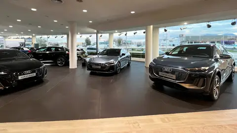 Nuevos modelos de Audi en el concesionario Nucesa de Granada Nuevos modelos de Audi en el concesionario Nucesa de Granada