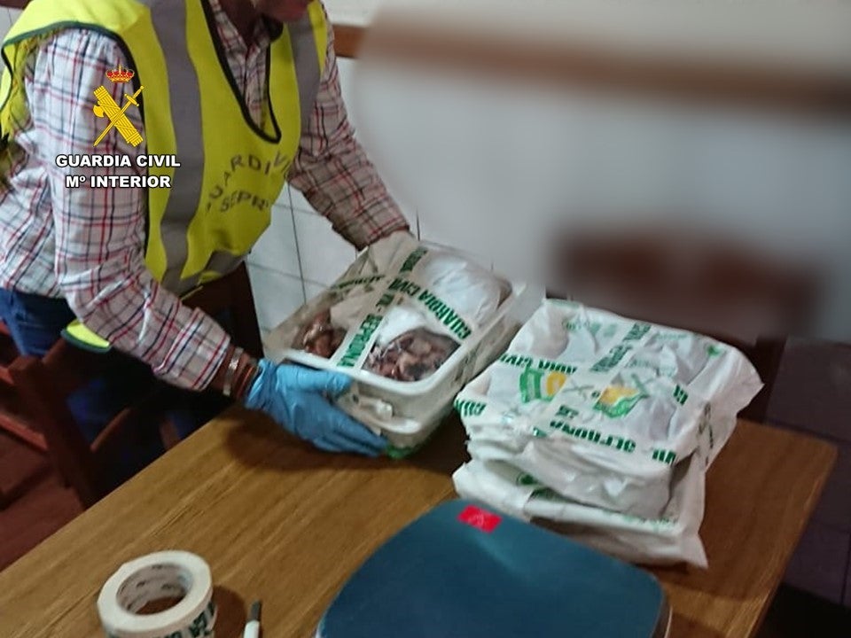 El Seprona de la Guardia Civil inmoviliza en Crevillent casi 60 kilos de productos marinos El Seprona de la Guardia Civil inmoviliza en Crevillent casi 60 kilos de productos marinos