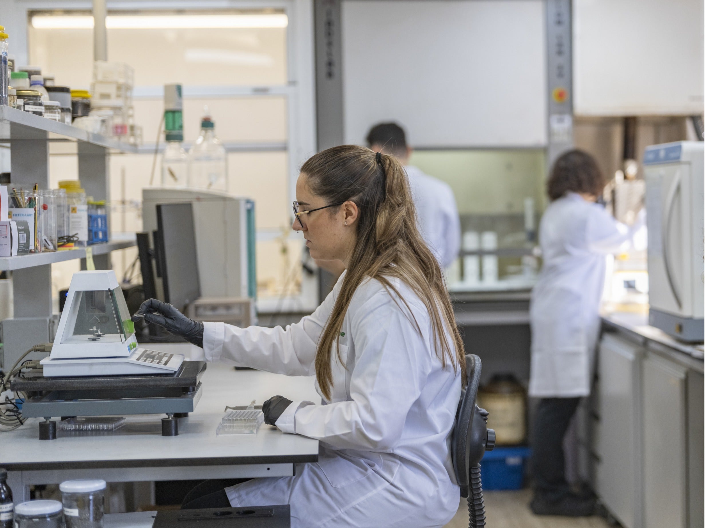 GREENE impulsa su proyecto para generar hidrógeno renovable con residuos de poda y biomasa forestal GREENE impulsa su proyecto para generar hidrógeno renovable con residuos de poda y biomasa forestal