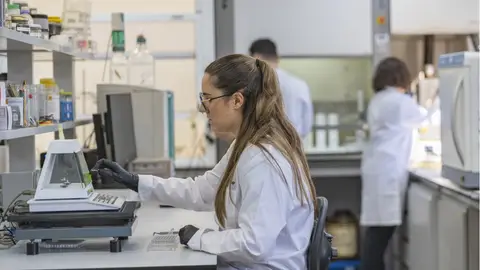 GREENE impulsa su proyecto para generar hidrógeno renovable con residuos de poda y biomasa forestal GREENE impulsa su proyecto para generar hidrógeno renovable con residuos de poda y biomasa forestal