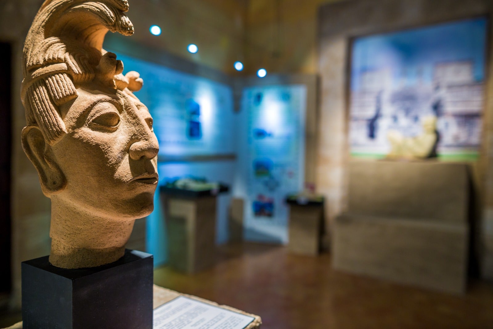 'Los Mayas', la exposición didáctica que puedes ver en Crevillent 'Los Mayas', la exposición didáctica que puedes ver en Crevillent