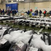 El puerto de Vigo bate el récord de descarga de pescado en este 2024 