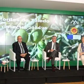 DO Montes de Toledo presentan el AOVE de 2024 DO Montes de Toledo presentan el AOVE de 2024