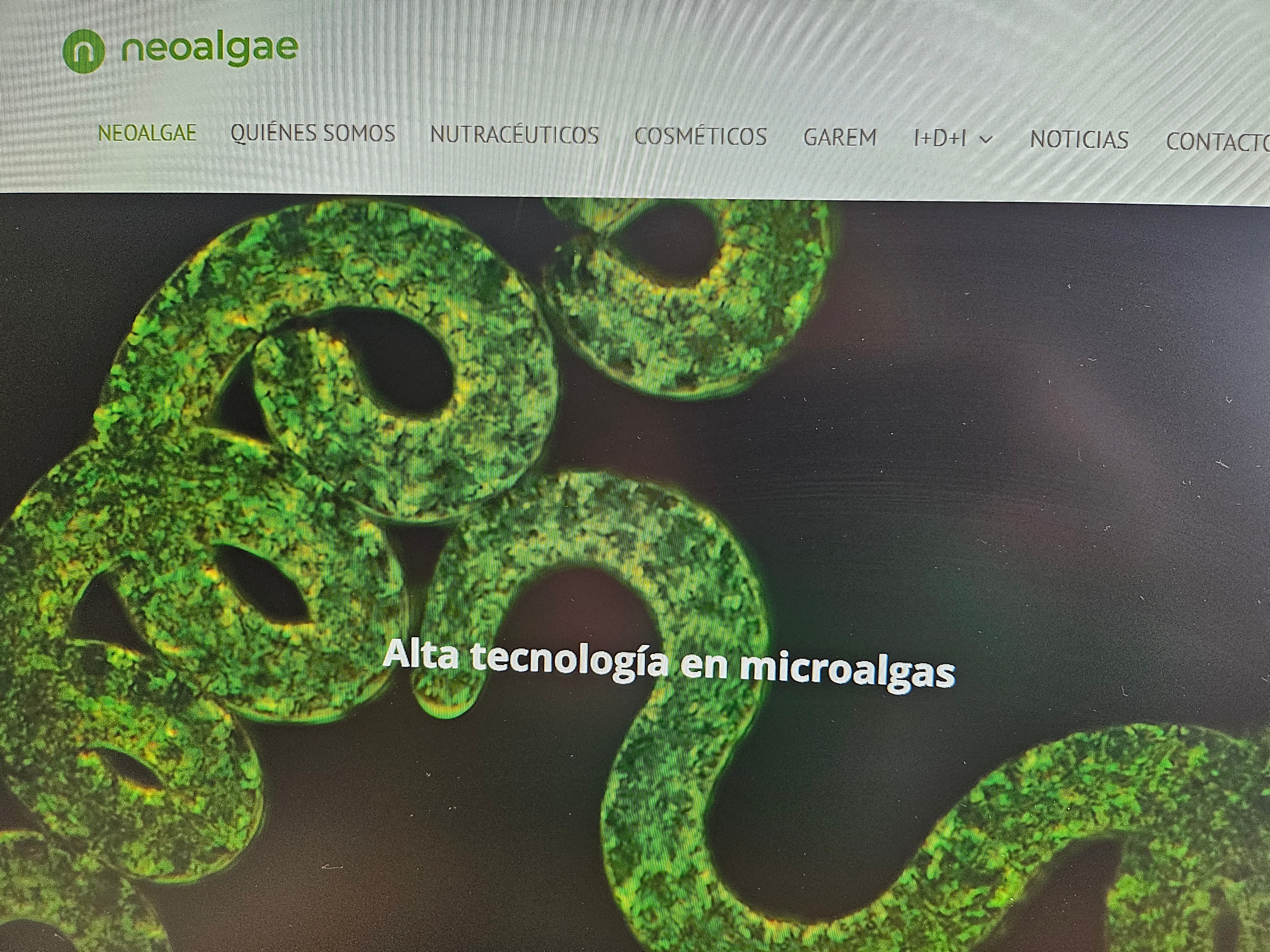 Neoalgae Neoalgae