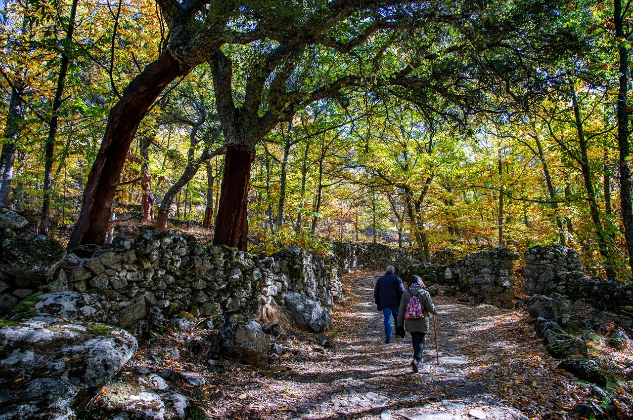 La Junta impulsa la creación de contenidos digitales de cicloturismo y senderismo para promocionar Extremadura en Alemania La Junta impulsa la creación de contenidos digitales de cicloturismo y senderismo para promocionar Extremadura en Alemania