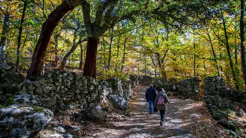 La Junta impulsa la creación de contenidos digitales de cicloturismo y senderismo para promocionar Extremadura en Alemania La Junta impulsa la creación de contenidos digitales de cicloturismo y senderismo para promocionar Extremadura en Alemania