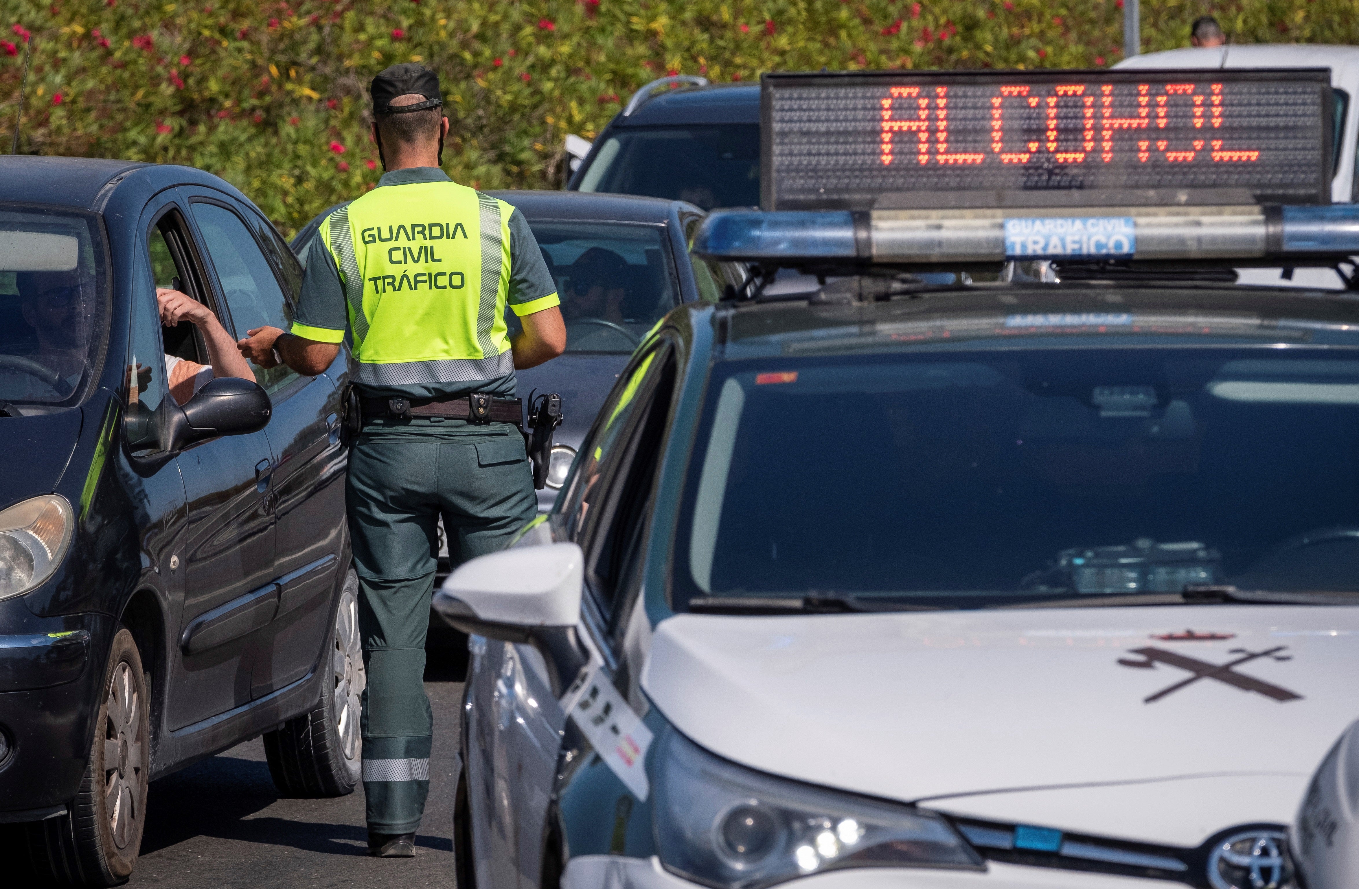 La campaña de Navidad de la DGT: estas son sus 'recetas' para conducir bien en estas fechas La campaña de Navidad de la DGT: estas son sus 'recetas' para conducir bien en estas fechas