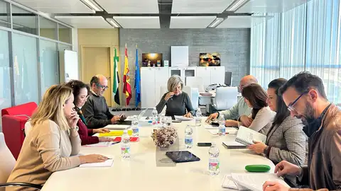 Intensa y productiva reunión del sector de las Artes Escénicas con la Consejería de Cultura Intensa y productiva reunión del sector de las Artes Escénicas con la Consejería de Cultura