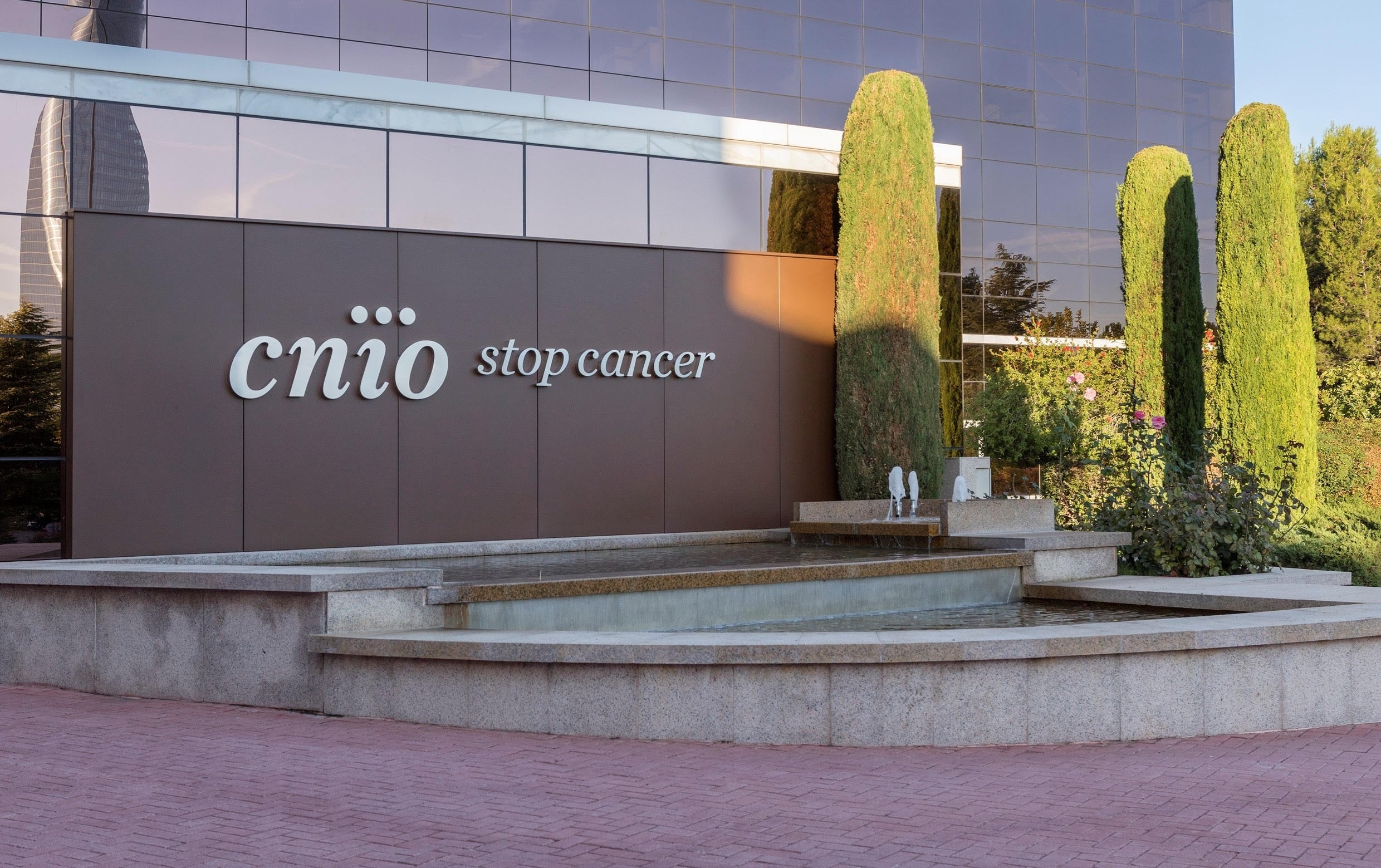 El mayor centro de investigación del cáncer está “al límite”: tiene un déficit de 4,5 millones de euros El mayor centro de investigación del cáncer está “al límite”: tiene un déficit de 4,5 millones de euros