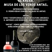 antas vino correcto antas vino correcto