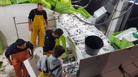 Pescadores Marbella