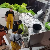 Pescadores Marbella Pescadores Marbella
