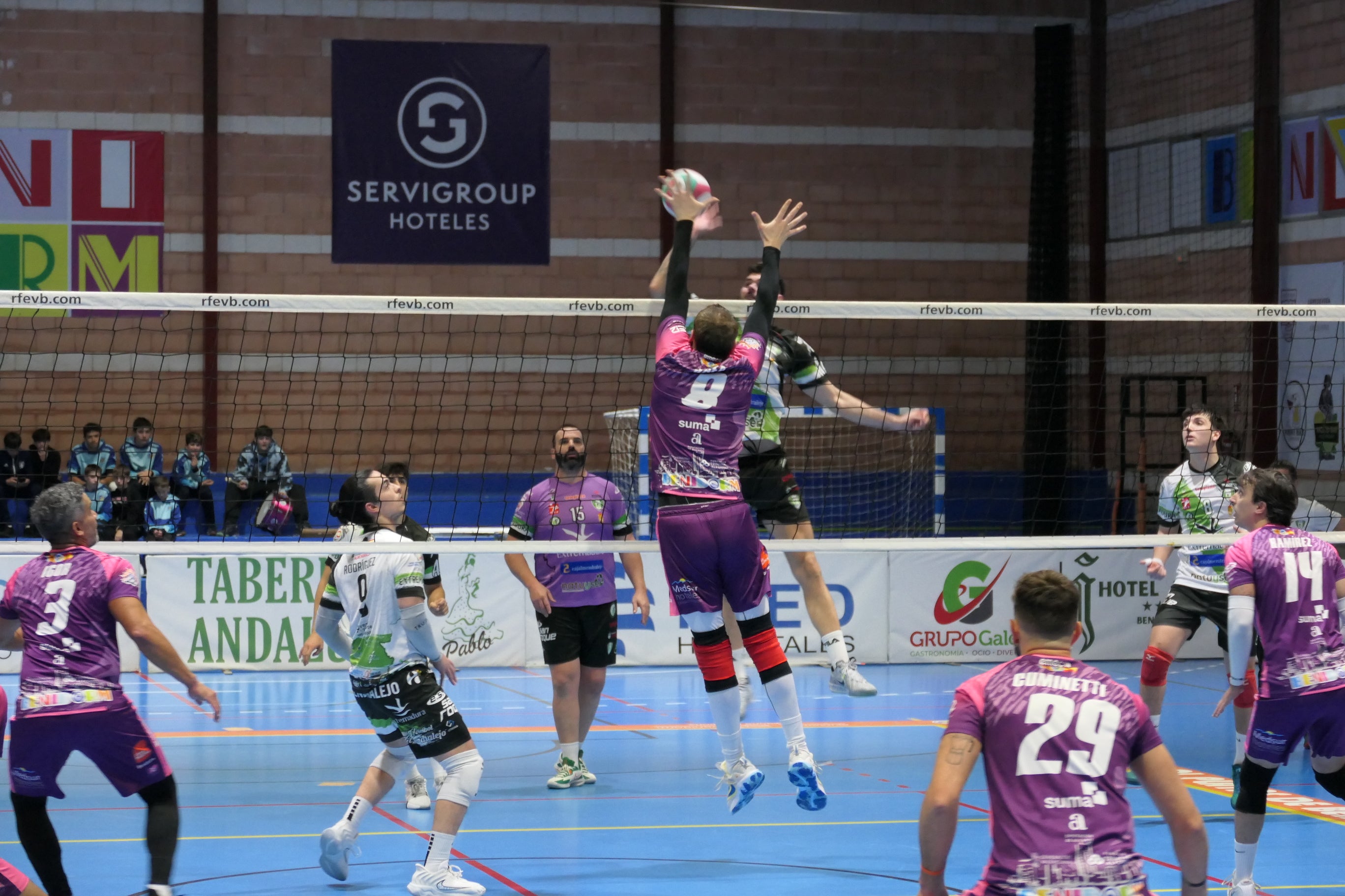El equipo masculino del Servigroup Playas de Benidorm cierra la primera vuelta con pleno de victorias e imbatido El equipo masculino del Servigroup Playas de Benidorm cierra la primera vuelta con pleno de victorias e imbatido