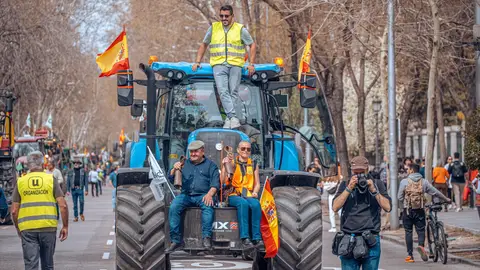 Varios agricultores subidos a un tractor durante una jornada de protestas de agricultores y ganaderos el pasado 17 de marzo de 2024 en Madrid Varios agricultores subidos a un tractor durante una jornada de protestas de agricultores y ganaderos el pasado 17 de marzo de 2024 en Madrid