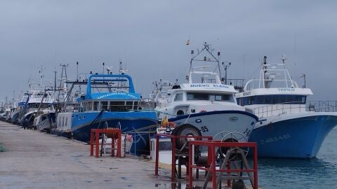 Pesqueros amarados en puerto.