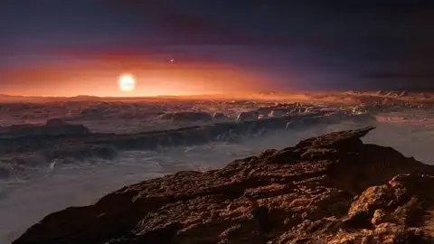 Exotierra Exotierra