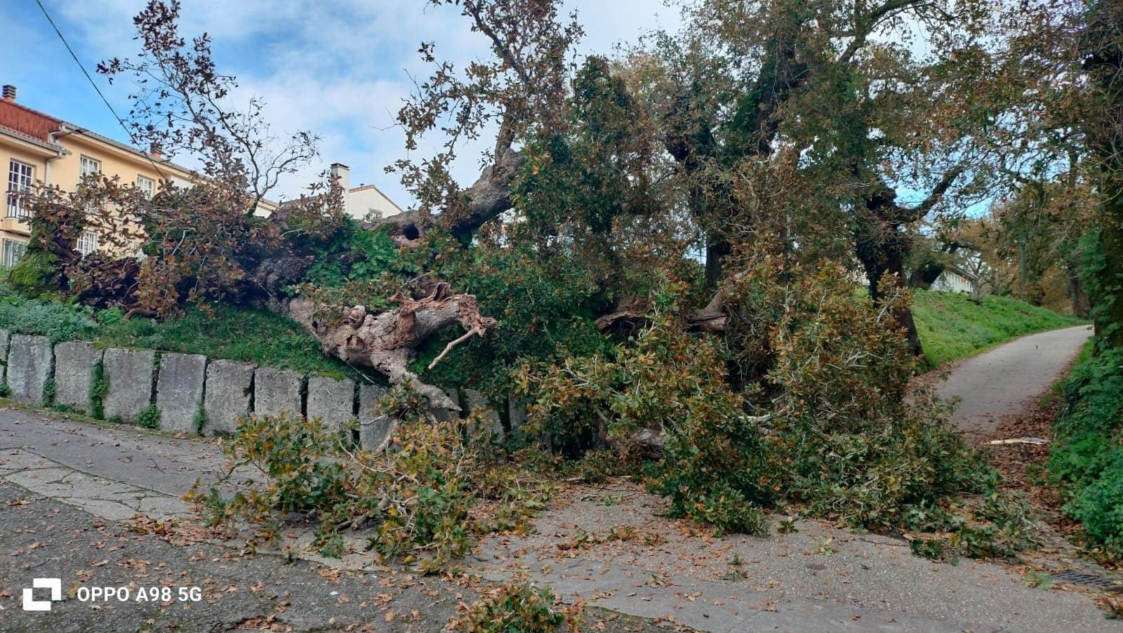 Los vecinos de San Lourenzo reclaman en Onda Cero "que podamos vivir de forma segura y que no sea un deporte de riesgo vivir en el barrio" Los vecinos de San Lourenzo reclaman en Onda Cero "que podamos vivir de forma segura y que no sea un deporte de riesgo vivir en el barrio"