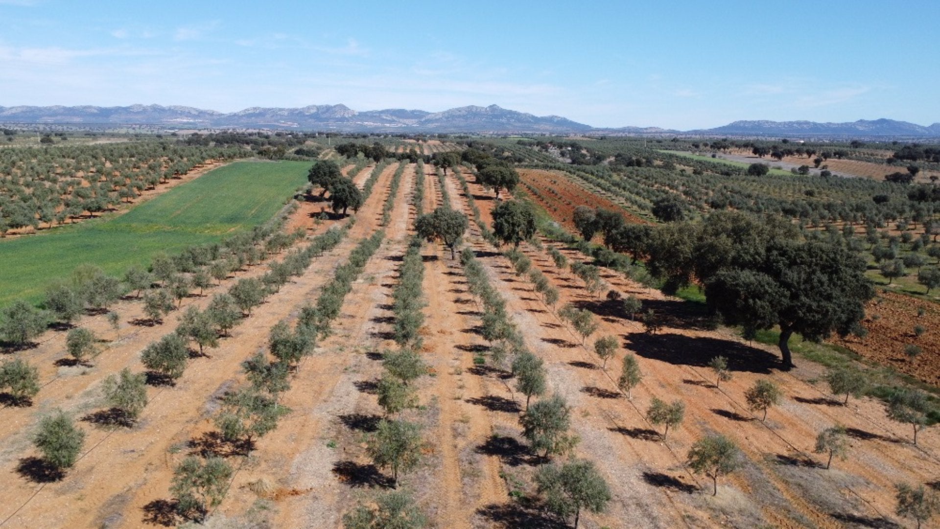 Unas jornadas en Mérida comparten buenas prácticas en el uso eficiente de agua en regadíos de 18 parcelas de Extremadura Unas jornadas en Mérida comparten buenas prácticas en el uso eficiente de agua en regadíos de 18 parcelas de Extremadura
