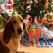 Los perros podrán elegir su propio juguete gracias a la inteligencia artificial Los perros podrán elegir su propio juguete gracias a la inteligencia artificial