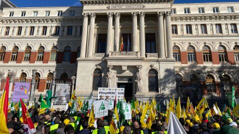 Manifestaci&oacute; Mercosur
