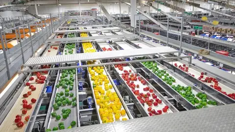 Pimientos de Almería Pimientos de Almería