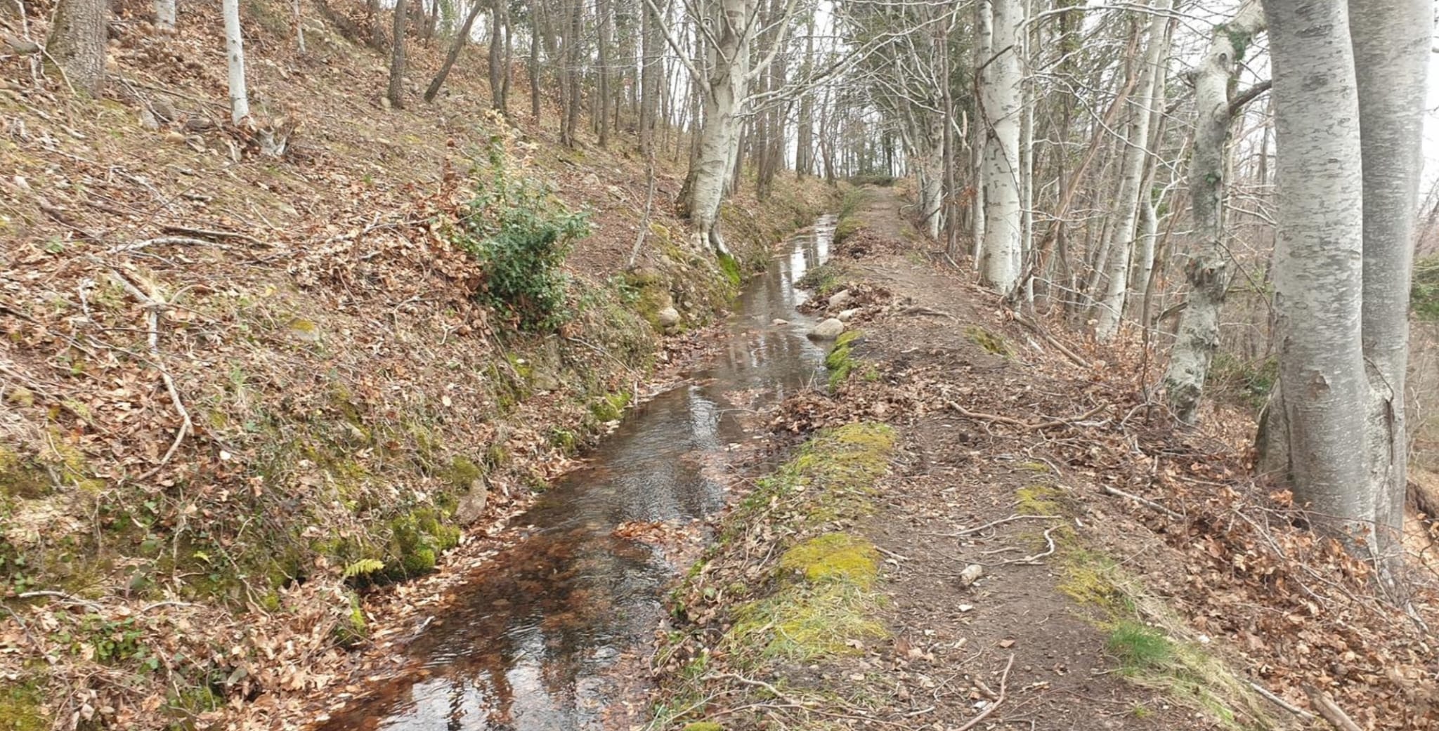 Paseo por el canal del Urrilla, en Sorzano Paseo por el canal del Urrilla, en Sorzano