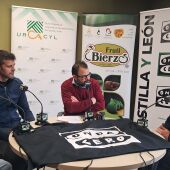 URACYL BIERZO