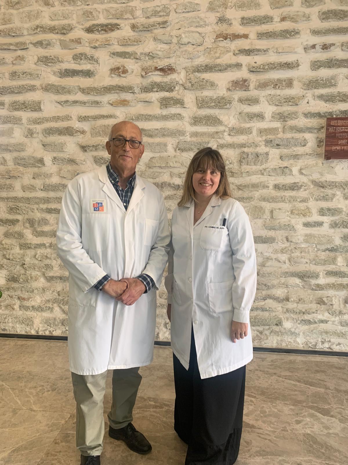 Investigadores de la UMH de Elche y Fisabio identifican moléculas que podrían favorecer fármacos contra el glioblastoma Investigadores de la UMH de Elche y Fisabio identifican moléculas que podrían favorecer fármacos contra el glioblastoma