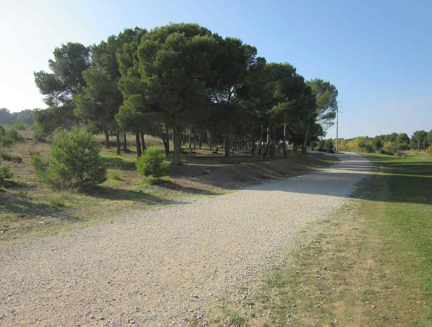 Convocada una manifestación en Zaragoza para "salvar los Pinares de Venecia" Convocada una manifestación en Zaragoza para "salvar los Pinares de Venecia"