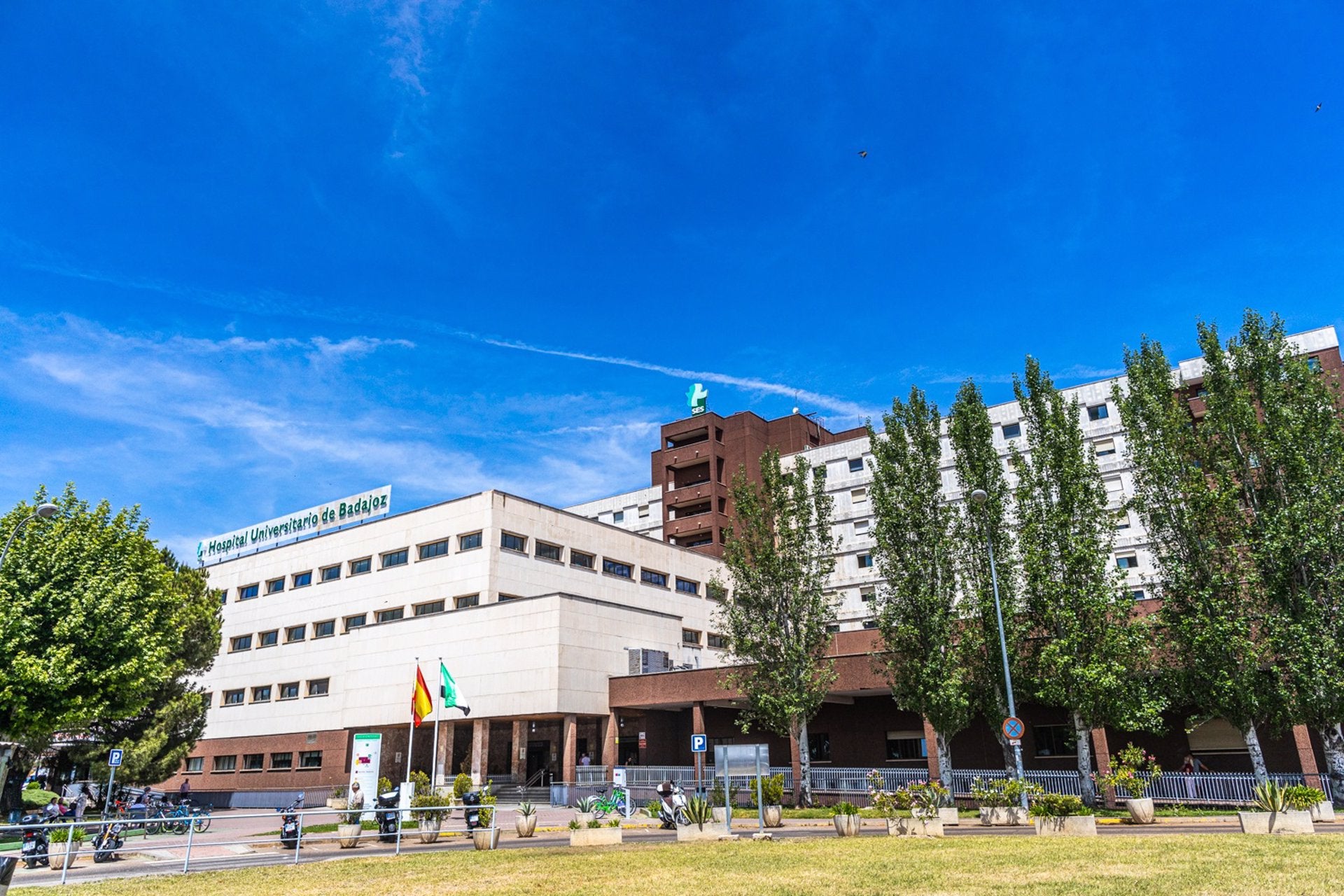 Herido "menos grave" un trabajador con un trauma en la cadera y el muslo al ser atropellado en Jerez de los Caballeros Herido "menos grave" un trabajador con un trauma en la cadera y el muslo al ser atropellado en Jerez de los Caballeros