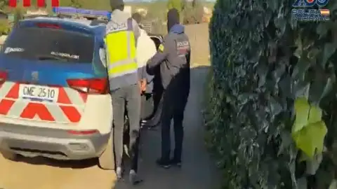 Detenidos en Castellón 2 de los integrantes de la red de tráfico de marihuana Detenidos en Castellón 2 de los integrantes de la red de tráfico de marihuana