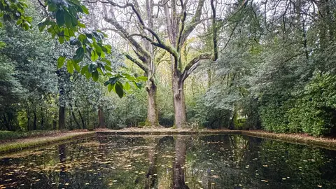 Visitamos el pazo de Santa Cruz de Rivadulla con Superkarmen Gente Viajera de Galicia