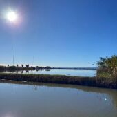 El Palmar