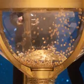 Uno de los bombos de la Lotería de Navidad Uno de los bombos de la Lotería de Navidad