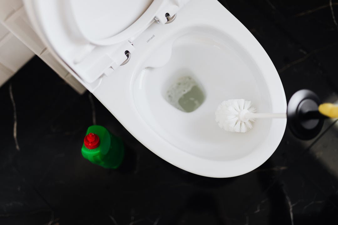 Guía de los mejores baños públicos, por Ali Blackbet Guía de los mejores baños públicos, por Ali Blackbet