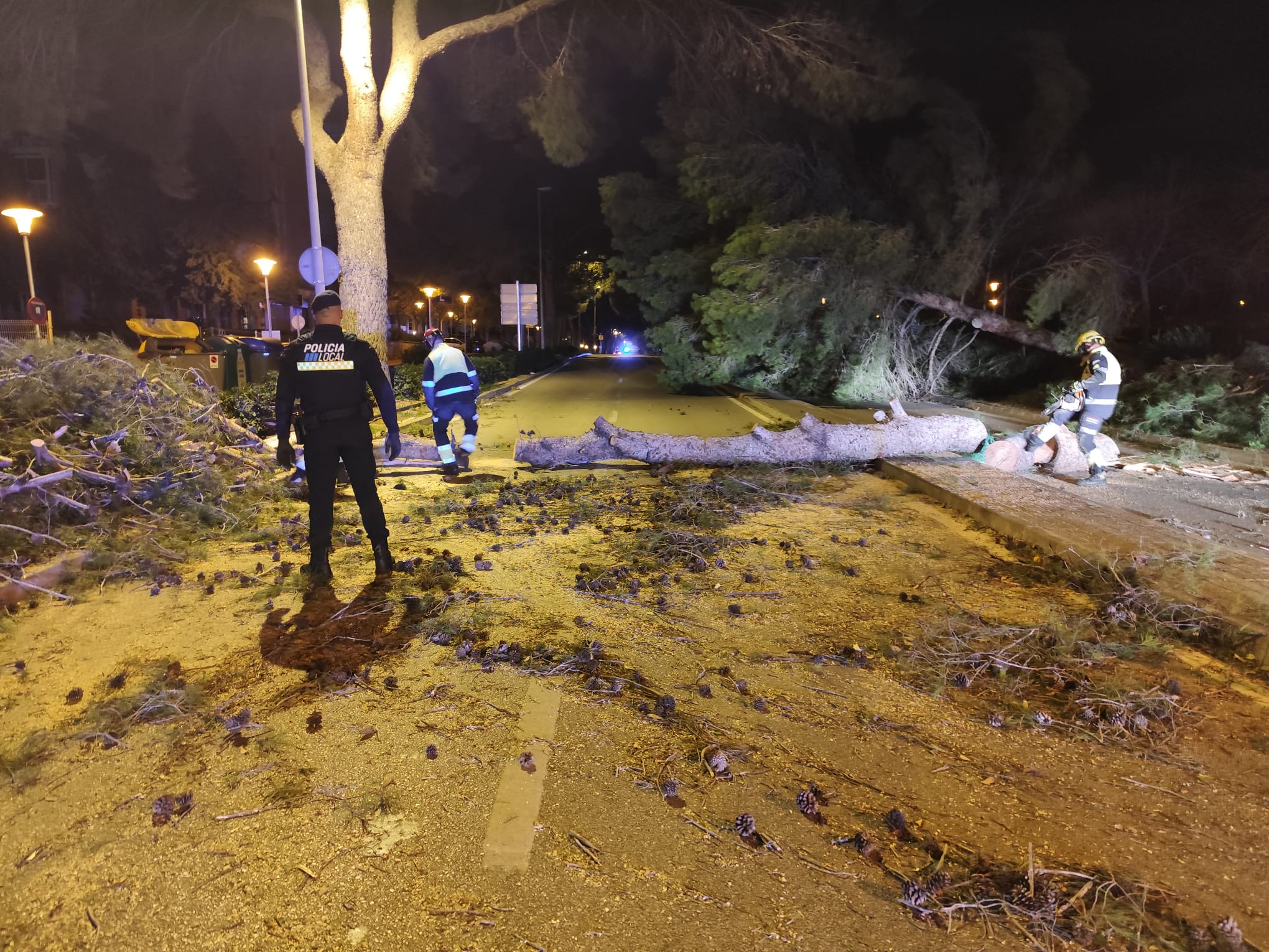 222 incidentes por viento en Baleares: Palma y Marratxí, las más afectadas 222 incidentes por viento en Baleares: Palma y Marratxí, las más afectadas