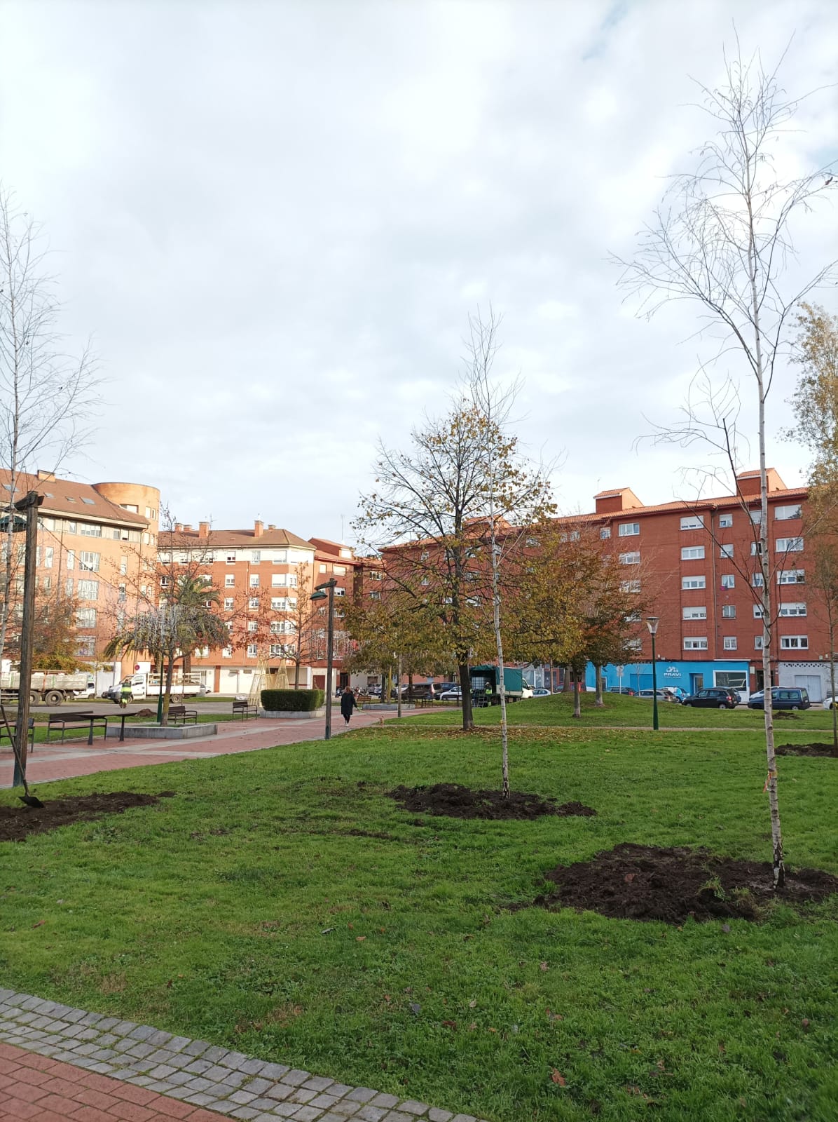 El parque de las Palmeras recupera el sentido El parque de las Palmeras recupera el sentido