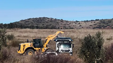 Movimientos de tierra en una finca de Torrenueva por parte de Quantum Minería Movimientos de tierra en una finca de Torrenueva por parte de Quantum Minería