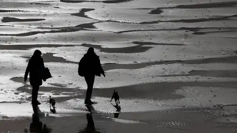 Dos personas pasean a sus mascotas en la playa de la Concha (San Sebastián) Dos personas pasean a sus mascotas en la playa de la Concha (San Sebastián)