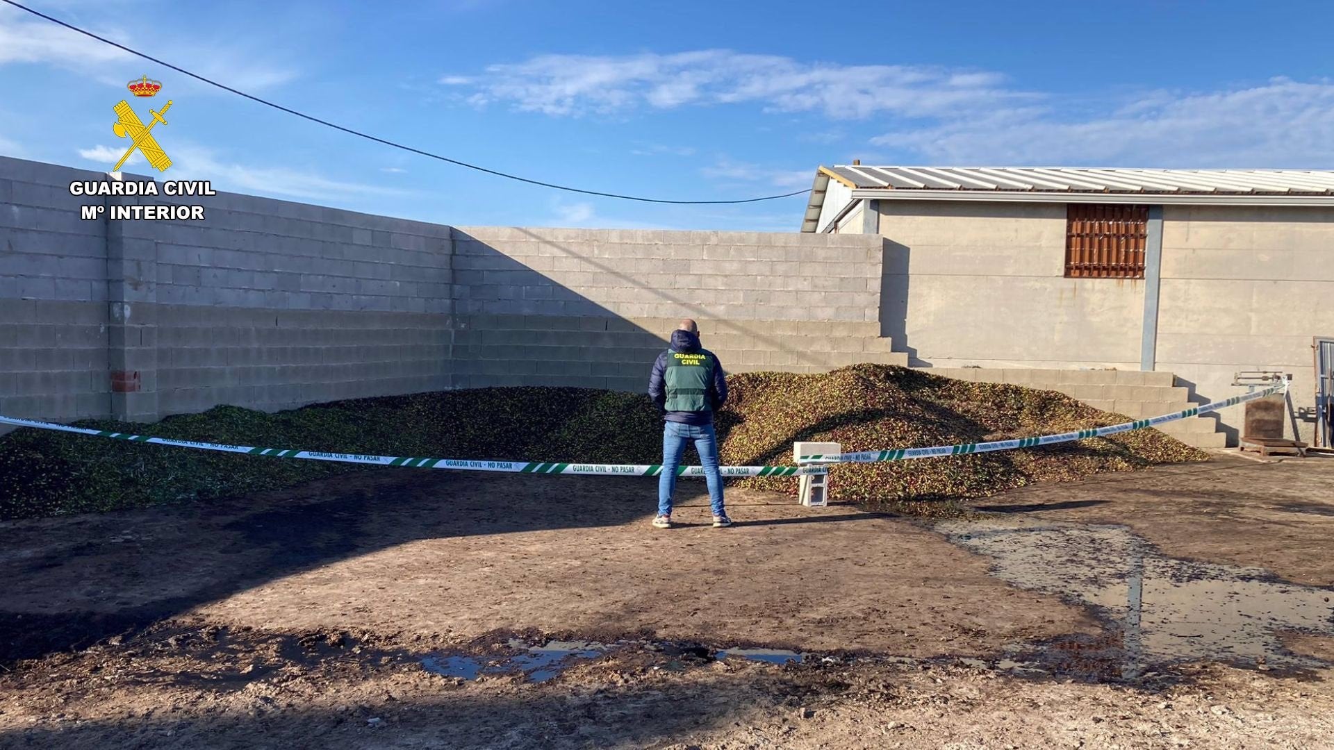 Inmovilizados 9.000 kilos de aceitunas no aptas para el consumo humano en Salvatierra de Santiago Inmovilizados 9.000 kilos de aceitunas no aptas para el consumo humano en Salvatierra de Santiago