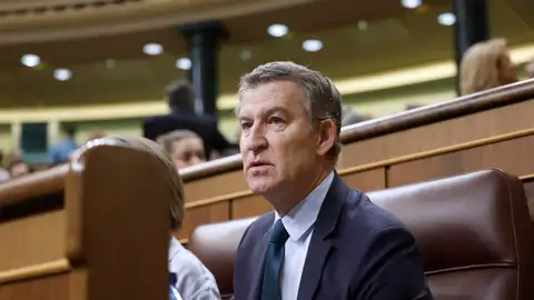 Foto de archivo del líder del PP, Alberto Núñez Feijóo. Foto de archivo del líder del PP, Alberto Núñez Feijóo.