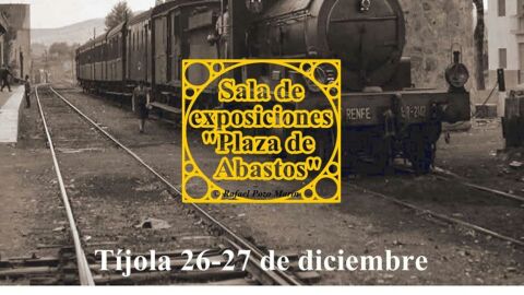 tren almanzora